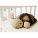 Cloud B Nattlampa Twilight Turtle Mocha