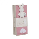 Jabadabado Presentkit Teddy Rosa